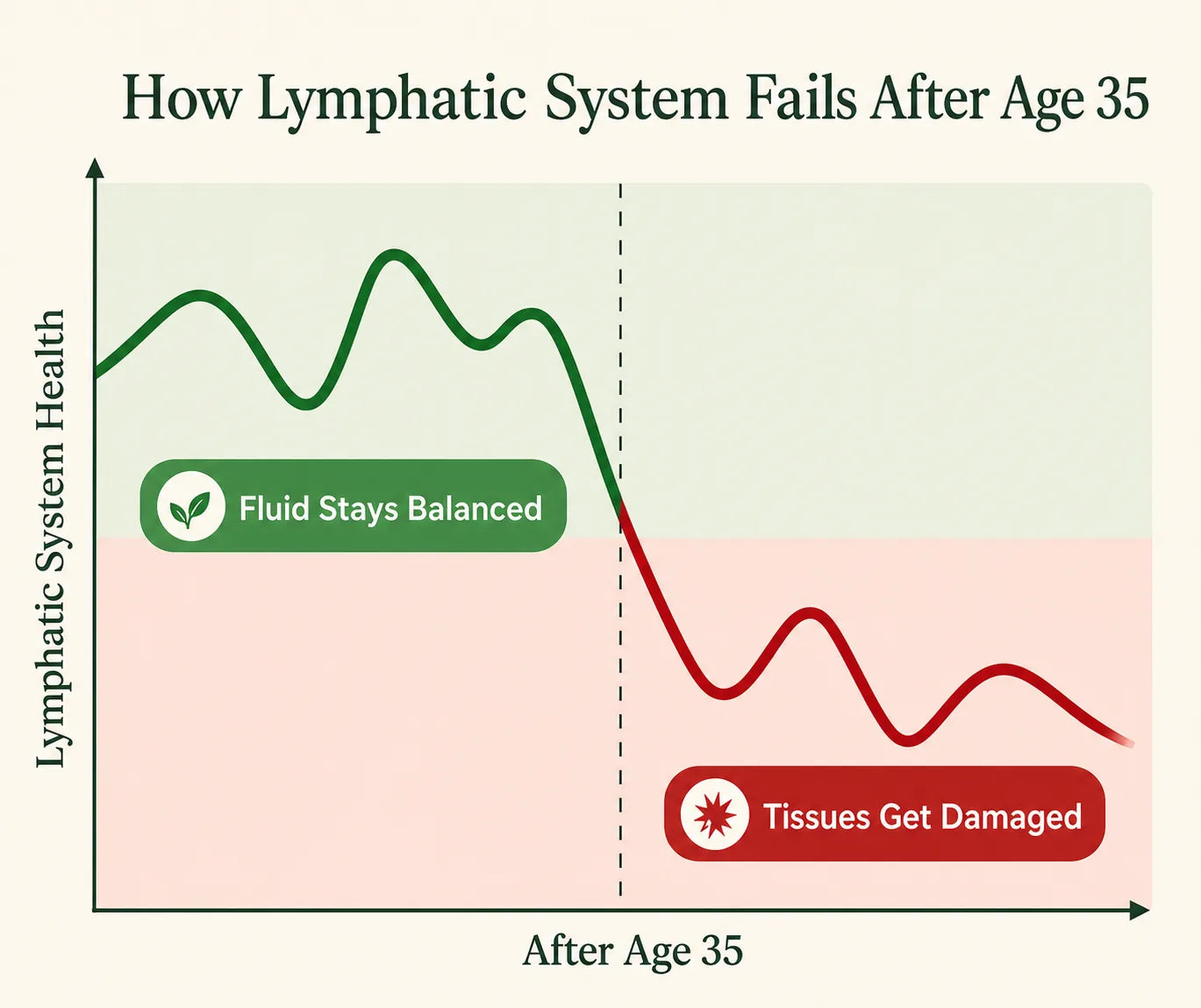 Lymphatic drainage crew diagram